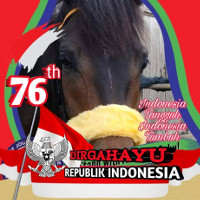  Kasando (R) Saddlery Indonesia